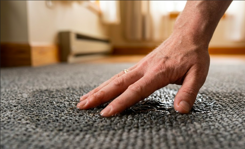 How to Tell If Your Carpet Padding Needs Replacing After Water Exposure